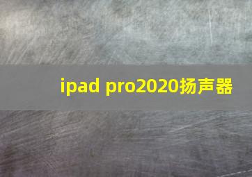 ipad pro2020扬声器